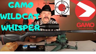 Gamo Wildcat Whisper Pellet Gun | Initial Review