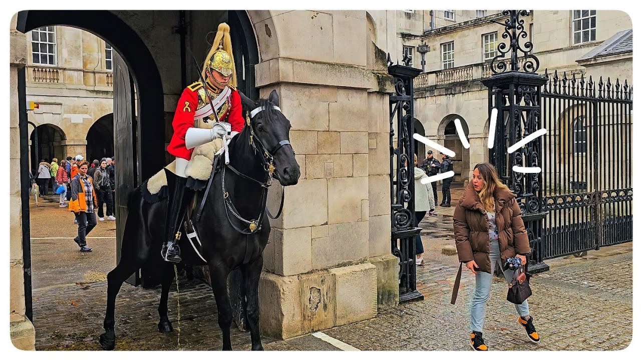 Rainy Day in London and This Horse RUINED her Photo Op!
