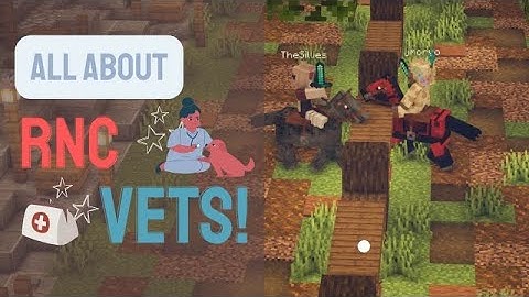 All About Vets! || Ranch N Craft