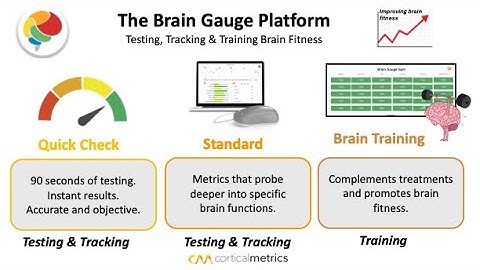 Brain Gauge - new platform introduction