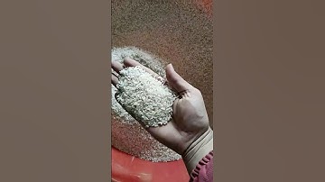 64 Channels Rice Color Sorter#machine #factory