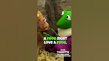 The Art of the Hand Puppet #emotions #comedy #puppetry