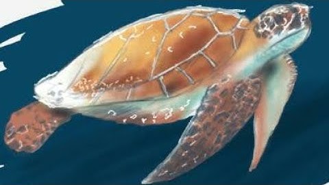 Live Stream Test on Omlet Arcade