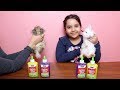 تحدي الأرانب يختاروا مكونات السلايم الجزء 2 !!! Our rabbits Pick Our Slime Ingredients Challenge