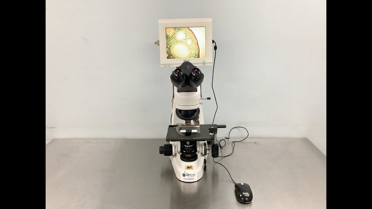 Nikon Eclipse 50i and 55i Microscope - The Lab World Group