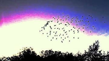 *FREE FOR PROFIT LOOP KIT / SAMPLE PACK 2023* 