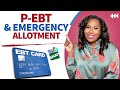 PANDEMIC EBT $1000 CHECK FOR "ONE" STATE + FLORIDA UPDATE, JANUARY EMERGENCY ALLOTMENT, DSNAP & MORE