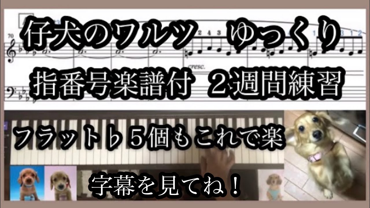 【ピアノ再開】ショパン 子犬のワルツ ゆっくり 指番号楽譜付 両手 練習 2週間 フラット5個も楽に Chopin