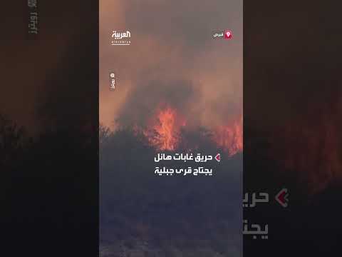 حرائق الغابات تجتاح قرى جبلية في قبرص