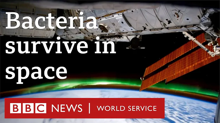 'Super bacteria' survive in space for years - BBC World Service - DayDayNews