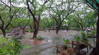 Quezon City Memorial Circle QCMC