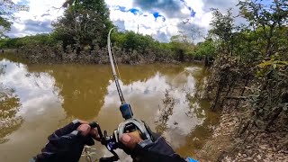 Download Lagu SUNGAI INI TERNYATA TAK TERJAMAH PENYETRUM, KETIKA AIR SURUT BANYAK IKAN BESAR DI SINI😱 MP3 Download Lagu SUNGAI INI TERNYATA TAK TERJAMAH PENYETRUM, KETIKA AIR SURUT BANYAK IKAN BESAR DI SINI😱 MP3