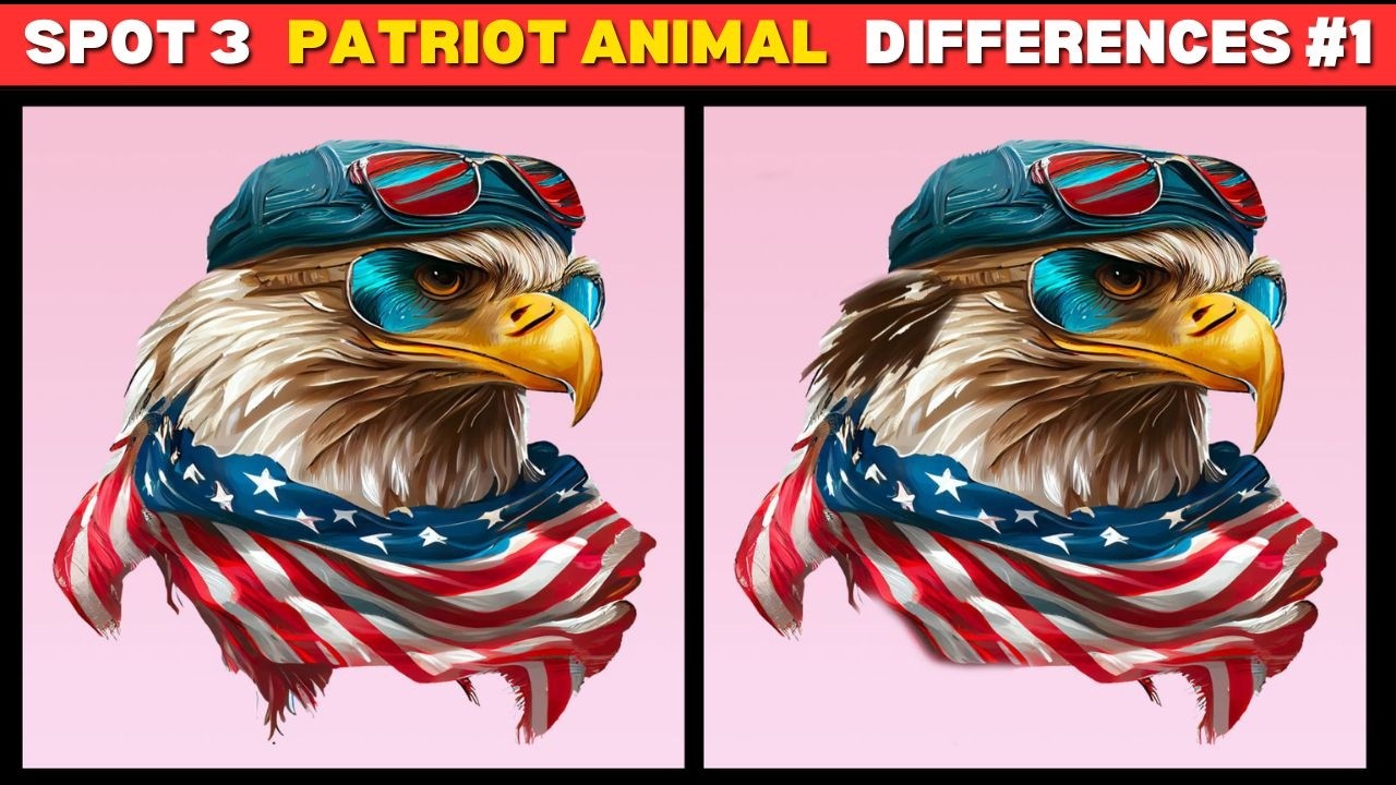 【Spot the Difference】✨🤠 Genius Solve 5 Patriot Animal Riddles #1