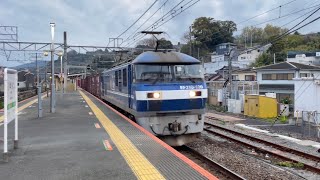 貨物列車 EF210-120牽引 1058レ 早川駅通過 ブリジストンコンテナ積載 2024.4.6
