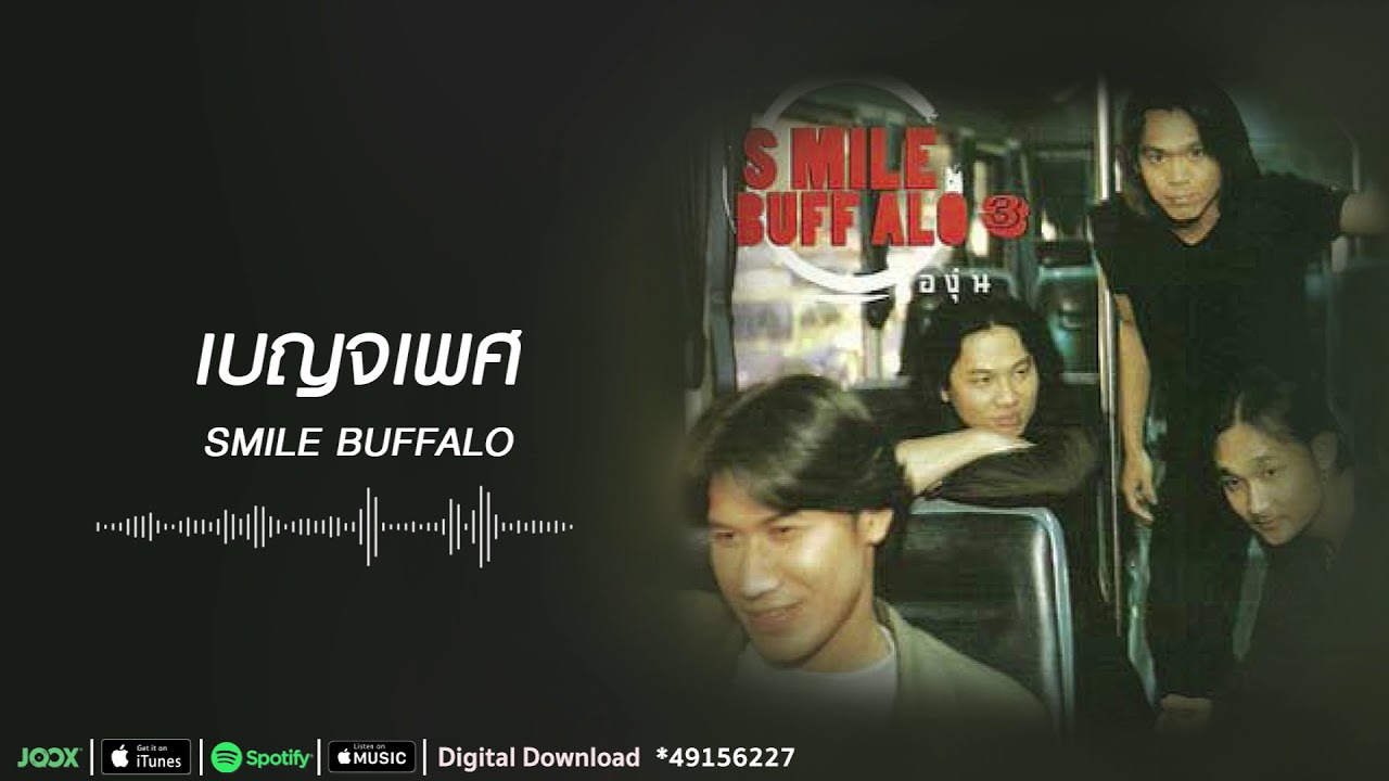 ปกเพลง เบญจเพศ — SMILE BUFFALO