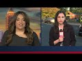 Georgia early voting wraps up on October 30