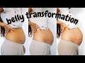 Pregnant Belly Progression | 8-40 Weeks