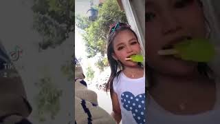 anjing kacili viral tik tok