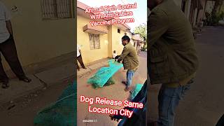 Dog Release Same Location City #dog #release #dogwithpublicsafety #ytviral #pets #dogshorts #shorts