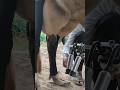 மிக குறைந்த விலையில் பால் கறவை இயந்திரம் விற்பனைக்கு Mini Milking Machine sales | #dairyfarm