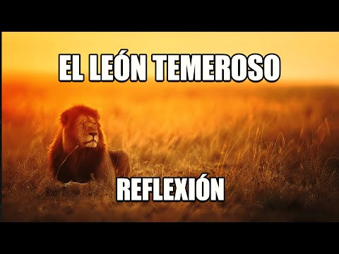 Video: Reflexiones Sobre Un Tema Determinado