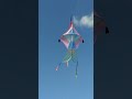 Beautiful kite