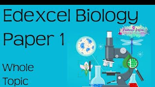 The whole of Edexcel Biology Paper 1 in only 84 minutes!! Revision for 9-1 GCSE Bio Combined Science