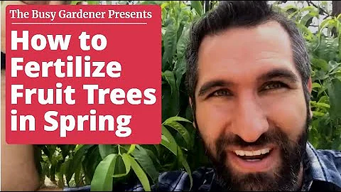 How to Fertilize Fruit Trees in Spring - Back Yard Orchard (4th season)