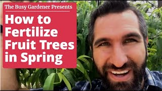 How To Fertilize Fruit Trees In Spring Back Yard Orchard 4th Season Youtube