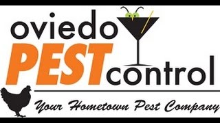 Oviedo Termite Control | 407-545-6770 |Oviedo Pest Control |