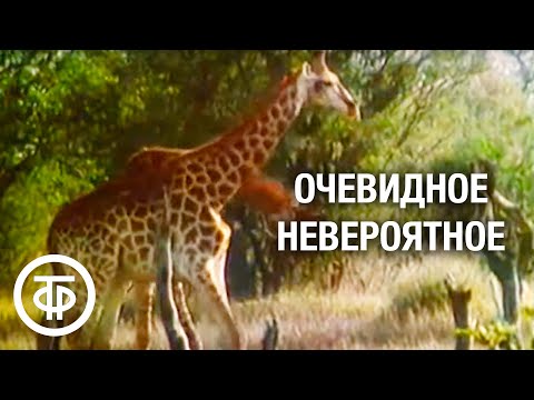 Очевидное - невероятное. Иммунитет. Передача 2 (1980)