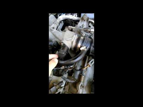 Tempra Tipo Rolanti