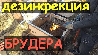 Дезинфекция брудера