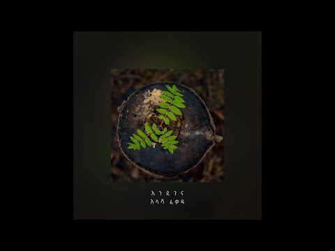 Illasha Fekadu በረታሁ Beretahu Ft Abenezer
