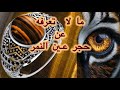 حجر عين النمر فوائده المذهلة وأسراره الروحانية وأسعاره حجر عين النمر فوائده المذهلة وأسراره الروحانية وأسعاره