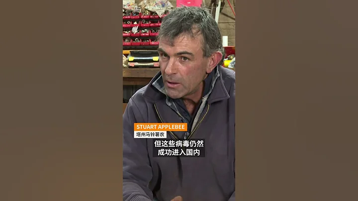 塔州爆发马铃薯病毒 专家称无法根除 | SBS中文