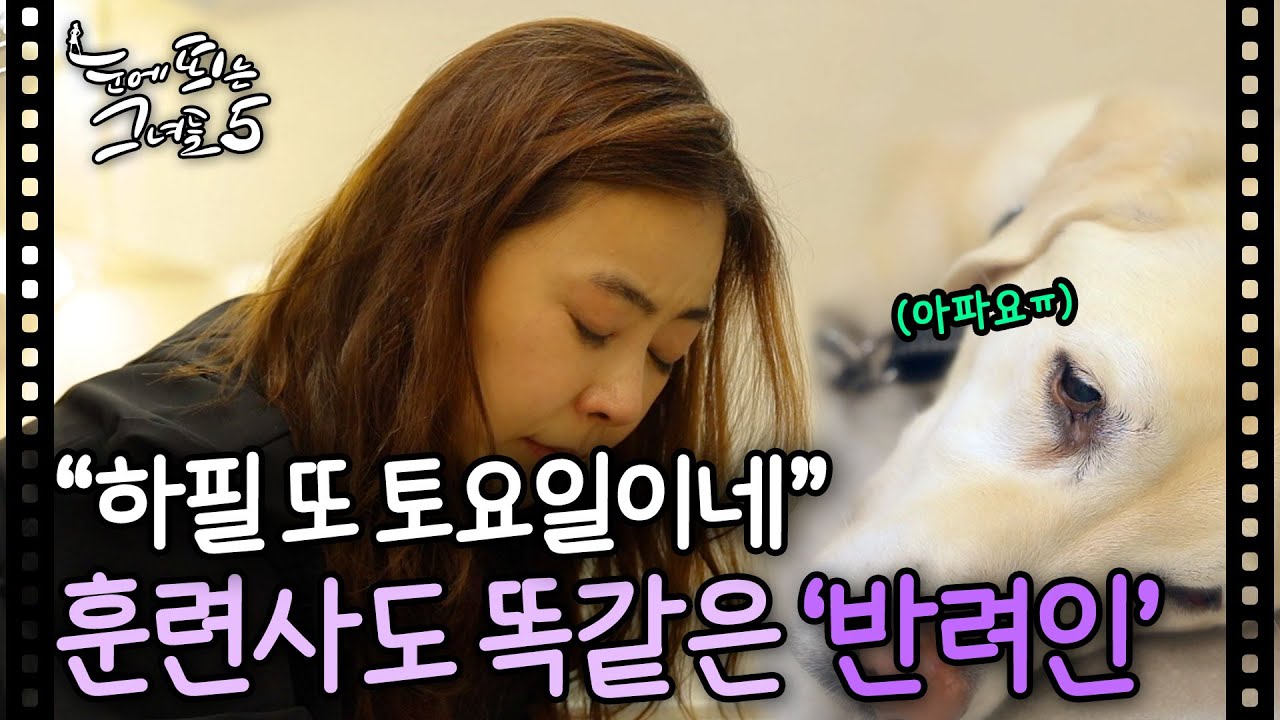 '반려인'이라면 모두가 공감할 이야기ㅠㅠㅣ눈에 띄는 그녀들5