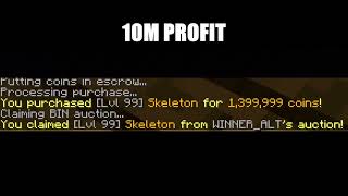 EternalFlips   Auction flipper   ~3B Day   Hypixel Skyblock