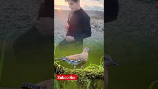 Good Together Ramdan Injoy In The Birads Rakna