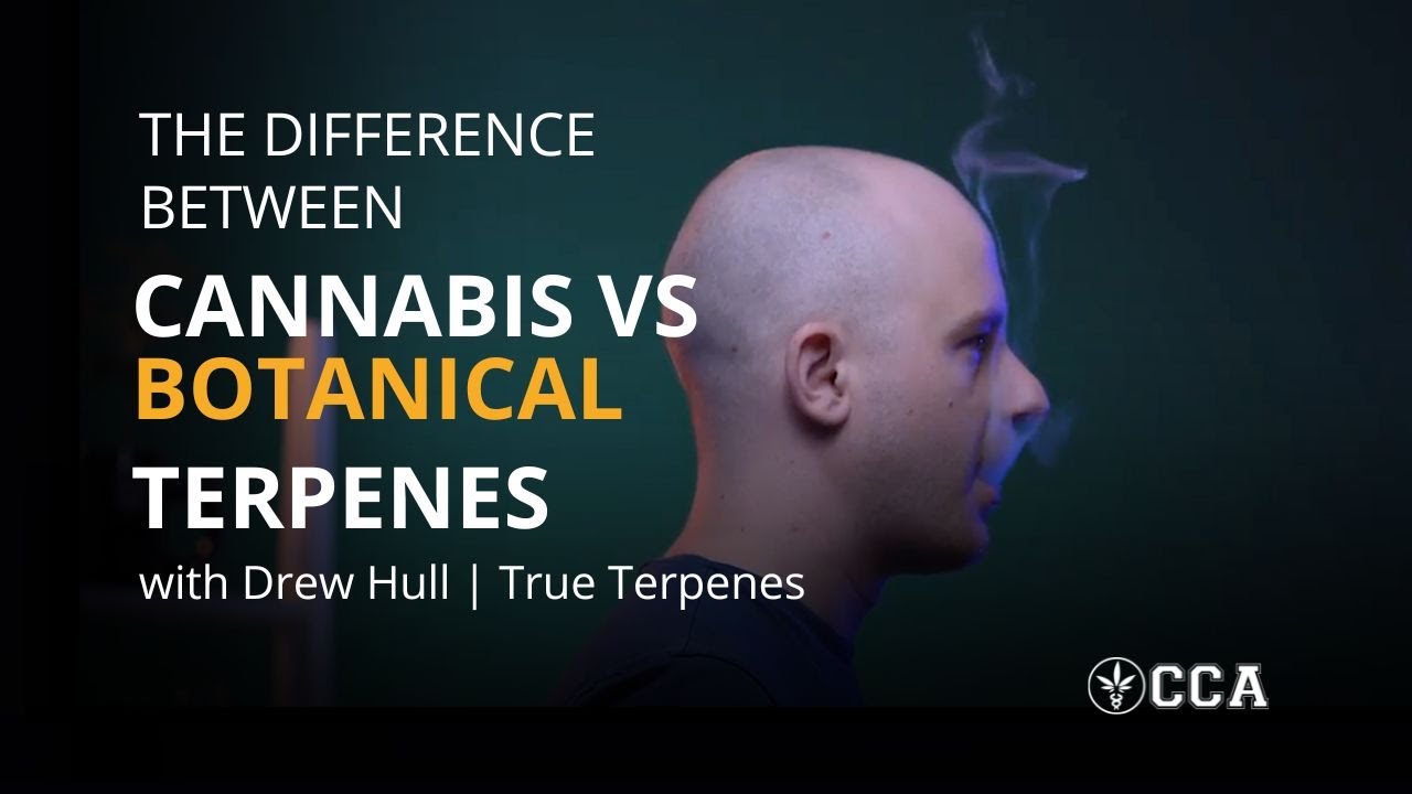 The Difference Between Botanical vs. Cannabis-derived Terpenes
