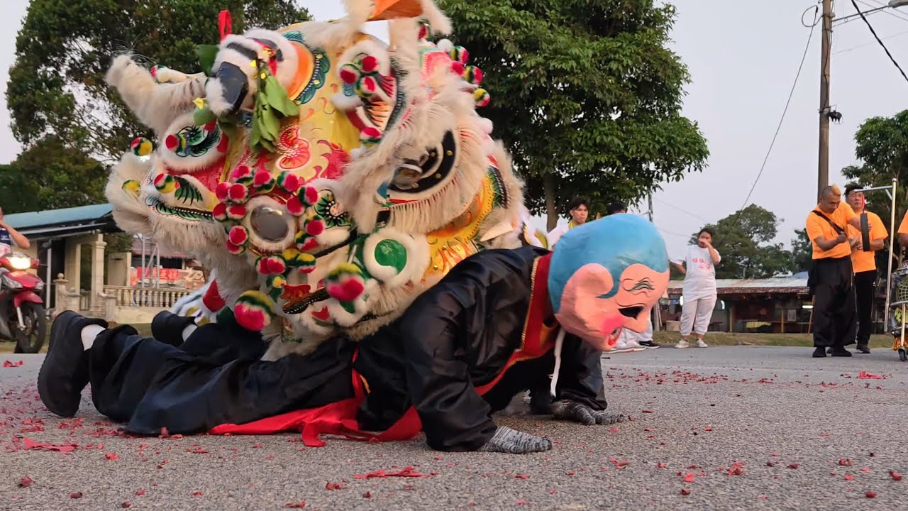 香港潘炳坤國術體育會~大头佛 醒狮队 @ 2025 馬六甲玉濂宮慶典 Hong Kong Lion Dance @ Yu Lian Temple, Melaka, Malaysia