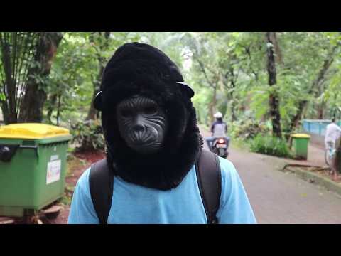 VIRALL!! KAGETIN ORANG PAKE TOPENG GORILA ▪ PRANK INDONESIA
