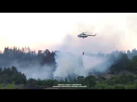 სოფელ საყავრესთან ტყის ხანძრის ქრობის სამუშაოები მთელი ღამე გაგრძელდება