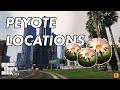 TOP 10 Peyote Plants Location Guide - Secret Peyote Plants Location In GTA 5