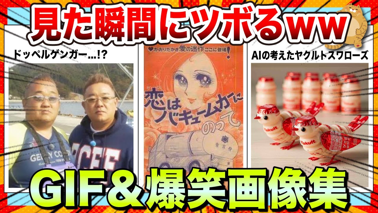 【🔥爆笑】見た瞬間にツボるwww爆笑GIF画像&画像集40選【2ch】【5ch】【ゆっくり解説】【コメ付き】【面白画像】