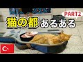 猫の都イスタンブールあるある言いたいpart2