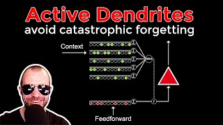 Avoiding Catastrophe: Active Dendrites Enable Multi-Task Learning in Dynamic Environments (Review)