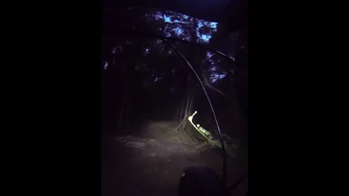 Proud Lake - New Loop 4 w/ Temp DH (PreDawn)