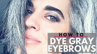 HOW TO DYE GRAY EYEBROWS | DIY | Nikol Johnson