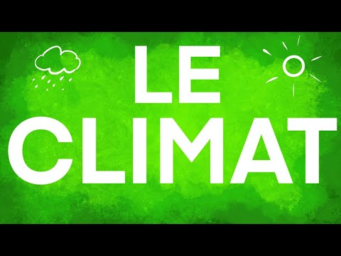 Vidéo: Que signifie climat subarctique ?